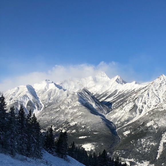 Meet your Posher, Josh - Picture 1 of 1